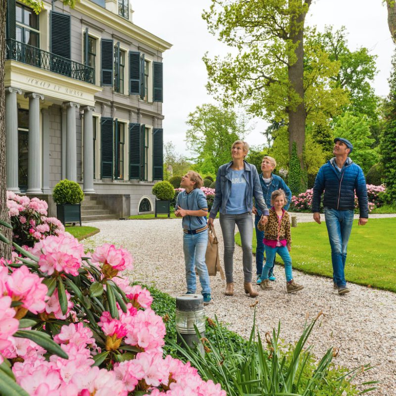 Schaep en Burgh - foto Natuurmonumenten / Rene Koster