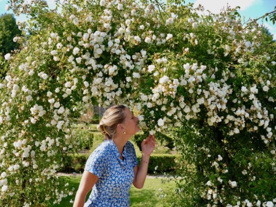 Rozendagen bij Kasteel Amerongen