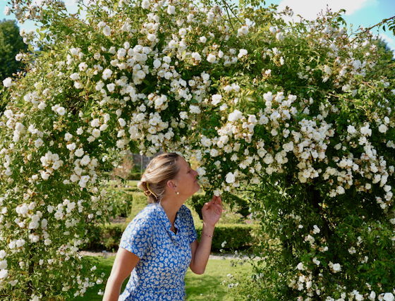 Rozendagen bij Kasteel Amerongen