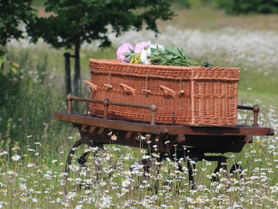 Natuurbegraven