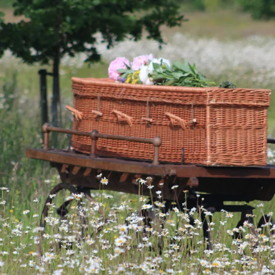 Natuurbegraven