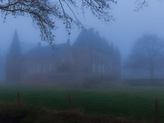 Kasteel Hernen in de winter (foto: T. Rothengatter)