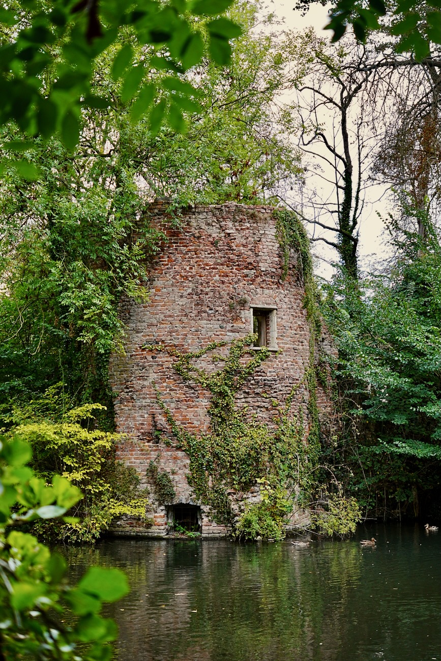 Ruïne van kasteel Brakel (foto: Sander Louis)