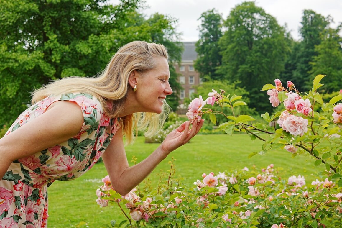 Een ware geurexplosie tijdens de Rozendagen bij Kasteel Amerongen